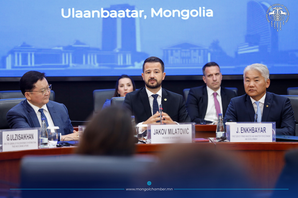 МОНГОЛ, МОНТЕНЕГРО УЛС ХУДАЛДАА, ХӨРӨНГӨ ОРУУЛАЛТ, БИЗНЕСИЙН ХАМТЫН АЖИЛЛАГААГ ӨРГӨЖҮҮЛЭХ БОЛОМЖИЙГ ХЭЛЭЛЦЛЭЭ